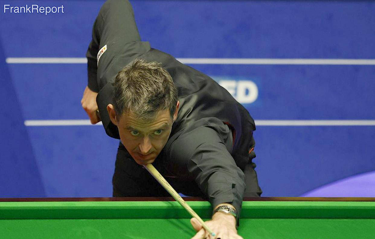 他们不仅在 他们不仅在